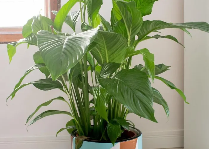 Apartamento Stylowe 3city W Centrum Sopotu By Renters